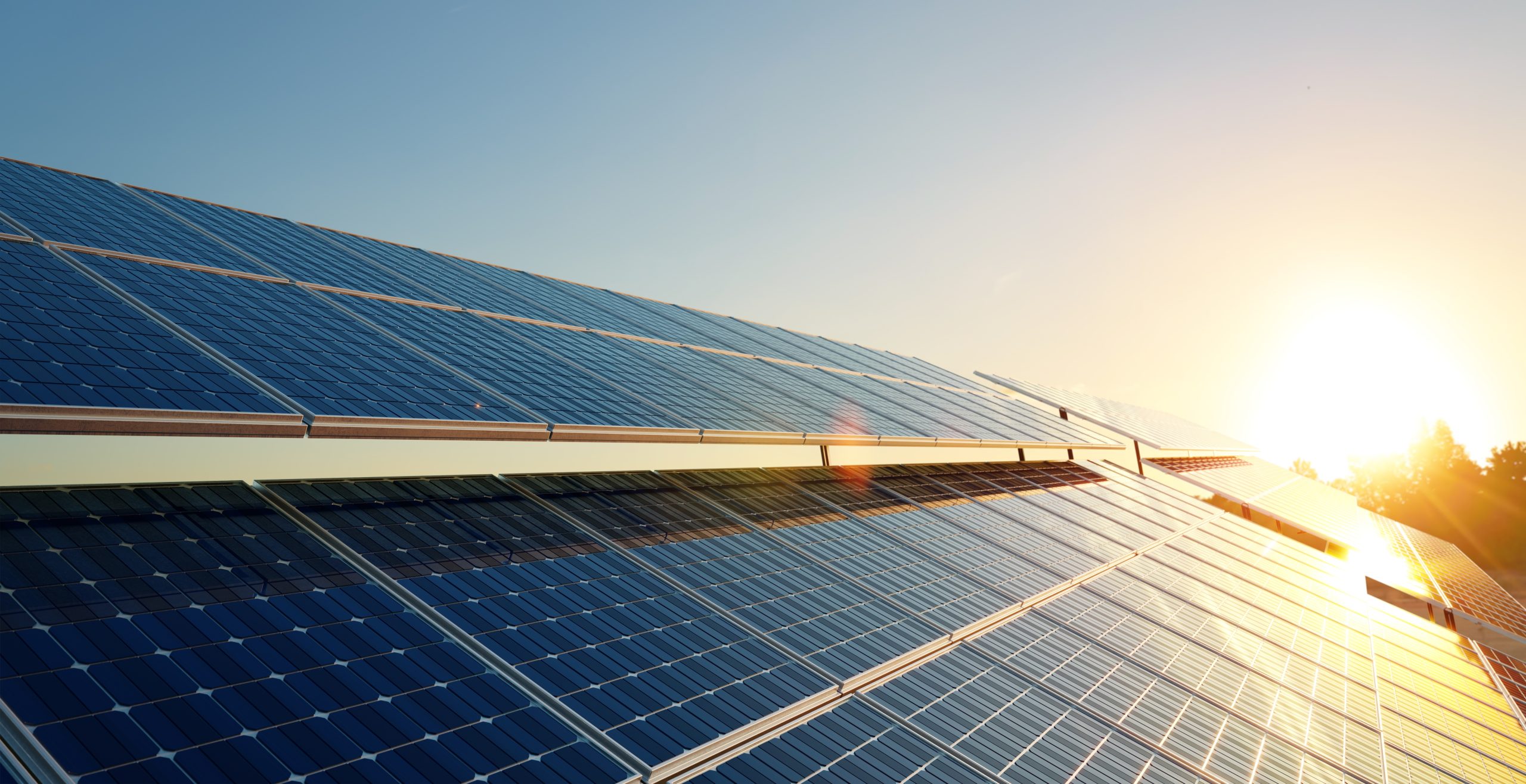 Commitment to sustainability and responsible stewardship