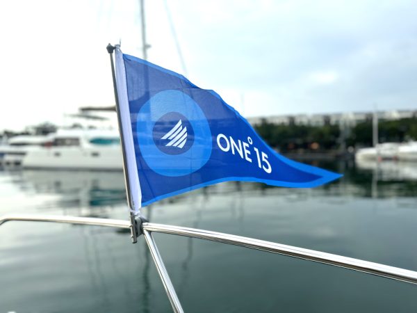 Burgee Flags - Image 2